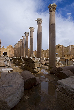 Severan Basilica, Leptis Magna, UNESCO World Heritage Site, Libya, North Africa, Africa