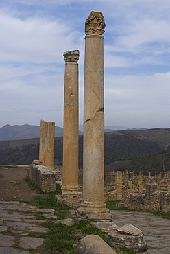 Cardo (main street), Roman site of Djemila, UNESCO World Heritage Site, Algeria, North Africa, Africa