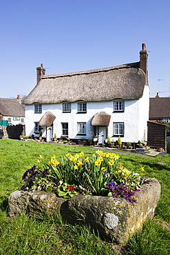 Thatched cottages on the village green in Lustleigh, Dartmoor, Devon, England, United Kingdom, Europe