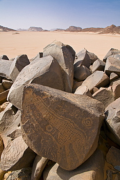 Old rock inscriptions in the Tassili n'Ajjer, Sahara, Southern Algeria, North Africa, Africa