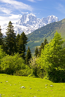 Wonderful mountain scenery of Svanetia with Mount Ushba in the background, Georgia, Caucasus, Central Asia, Asia