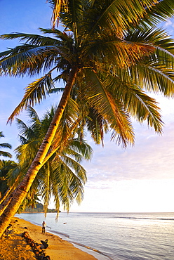 Idyllic sandy beach and clean water at Ile Sainte Marie, Madagascar, Indian Ocean, Africa