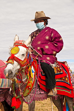 Horse rider on colourfuly dressed horse in the steppe of Western Tibet, China, Asia