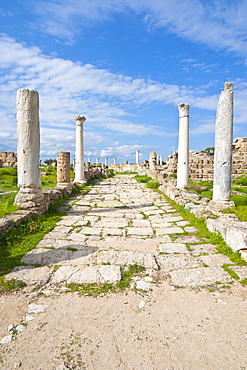 Roman ruins of Salamis, Turkish part of Cyprus, Cyprus, Europe