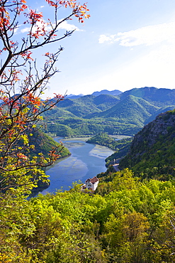 Huge river bend at Rijeka Crnojevica, Montenegro, Europe