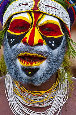 Colourfully dressed and face painted local tribes celebrating the traditional Sing Sing in the Highlands, Papua New Guinea, Pacific