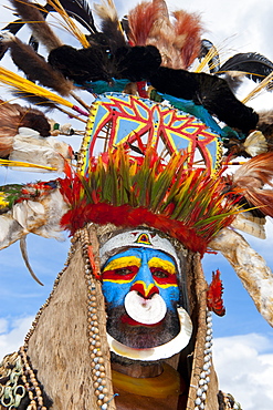 Colourfully dressed and face painted local tribesman celebrating the traditional Sing Sing in the Highlands of Papua New Guinea, Pacific