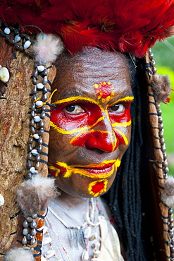 Colourfully dressed and face painted local tribal woman celebrating the traditional Sing Sing in Paya, Papua New Guinea, Pacific