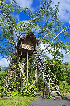 Tree house in a Banyan tree below the Volcano Yasur, Island of Tanna, Vanuatu, South Pacific, Pacific