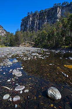 River flowing through the Carnarvon Gorge, Queensland, Australia, Pacific