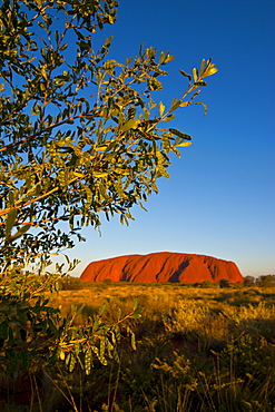 Uluru (Ayers Rock), Uluru-Kata Tjuta National Park, UNESCO World Heritage Site, Northern Territory, Australia, Pacific