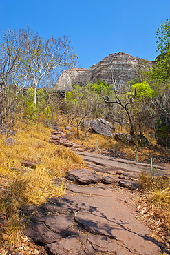 Kakadu National Park, UNESCO World Heritage Site, Northern Territory, Australia, Pacific