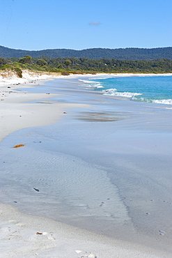 Bay of Fire, voted one of the most beautiful beaches in the world, Tasmania, Australia, Pacific 