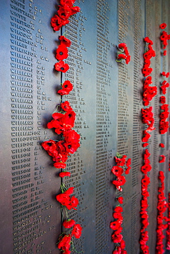 Roll of Honour at the Australian War Memorial, Canberra, Australian Capital Territory, Australia, Pacific