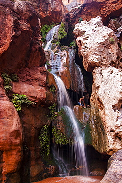 Tourist bathing in a waterfall, seen while rafting down the Colorado River, Grand Canyon, Arizona, United States of America, North America