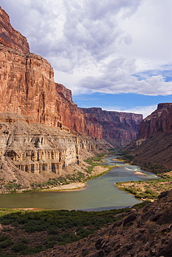 The beautiful scenery of the Colorado River in the Grand Canyon at Nankoweap Point, Arizona, United States of America, North America 