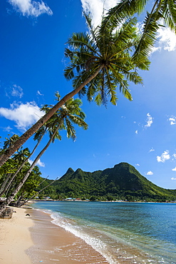 National Park of American Samoa, Tutuila Island, American Samoa, South Pacific, Pacific