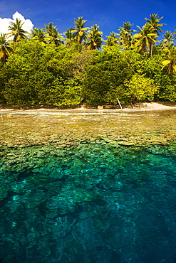 Crystal clear water and an islet in the Ant Atoll, Pohnpei, Micronesia, Pacific