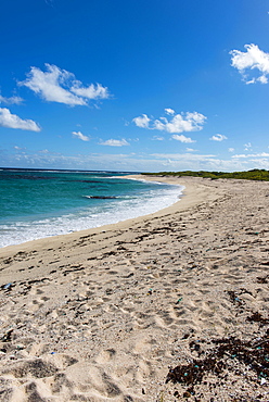 Remote white sand beach in Barbuda, Antigua and Barbuda, West Indies, Caribbean, Central America