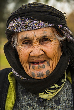 Old Kurdish woman with tattoos on her face in the Martyr Sami Abdul-Rahman Park in Erbil (Hawler), capital of Iraq Kurdistan, Iraq, Middle East