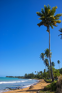 Luquillo Beach, Puerto Rico, West Indies, Caribbean, Central America 