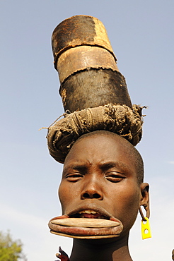 Traditional Mursi woman with lip plates, Omo Valley, Southern Ethiopia, Ethiopia, Africa