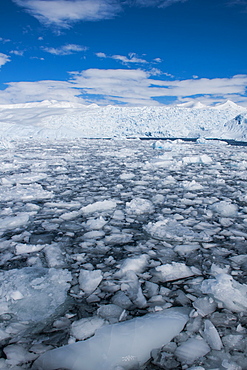 Glacier and icebergs in Cierva Cove, Antarctica, Polar Regions