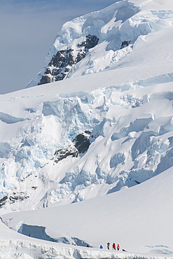 Huge ice shelf on Mikkelson Island, Antarctica, Polar Regions 