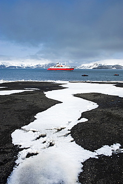 Cruise ship anchoring in the volcanic crater of Deception Island, South Shetland Islands, Antarctica, Polar Regions 