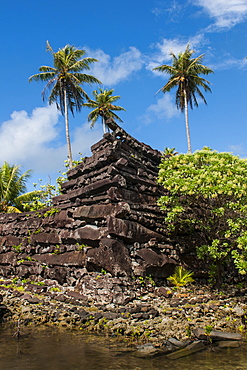 Ruined city of Nan Madol, Pohnpei (Ponape), Federated States of Micronesia, Caroline Islands, Central Pacific, Pacific 