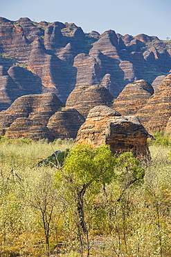 The beehive-like mounds in the Purnululu National Park, UNESCO World Heritage Site, Bungle Bungle Mountain Range, Western Australia, Australia, Pacific