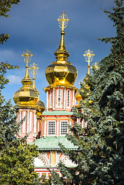 The golden domes of the Trinity Lavra of St. Sergius, UNESCO World Heritage Site, Sergiyev Posad, Golden Ring, Russia, Europe 