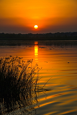 Sunrise over the Nile in the Murchison Falls National Park, Uganda, East Africa, Africa