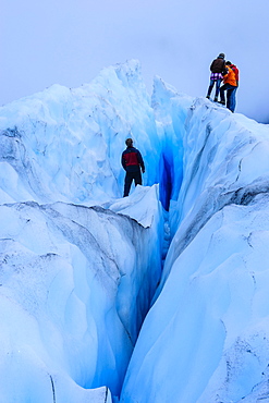 Tourist hiking on Fox Glacier, Westland Tai Poutini National Park, South Island, New Zealand, Pacific