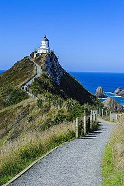 Nugget Point Lighthouse, the Catlins, South Island, New Zealand, Pacific