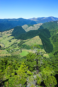 View over the lush valley of the Kahurangi National Park, South Island, New Zealand, Pacific