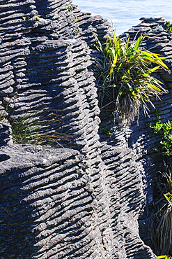 Beautiful rock formation, Pancake Rocks, Paparoa National Park, West Coast, South Island, New Zealand, Pacific