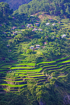 View from Kiltepan tower over the rice terraces, Sagada, Luzon, Philippines, Southeast Asia, Asia