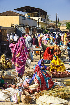 Women selling their goods on the colourful Monday market of Keren, Eritrea, Africa