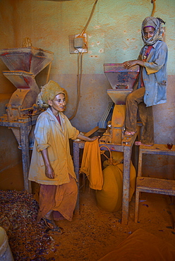 Women working in a Berbere red pepper spice factory at the Medebar market, Asmara, capital of Eritrea, Africa