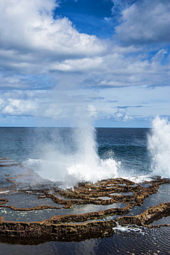 Mapu'a 'a Vaea Blowholes, Tongatapu, Tonga, South Pacific, Pacific