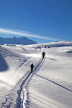 Ski touring, ski mountaineering in the Dolomites, Piz Boe, eastern Alps, Bolzano, South Tyrol, Italy, Europe