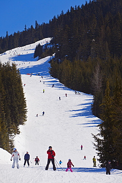 Skiers and snowboarders going downhill on a run, Whistler Blackcomb Ski Resort, Whistler, British Columbia, Canada, North America