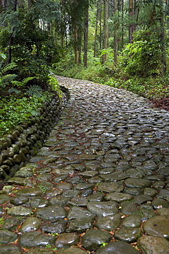 Stone paving called ishidatami on old Tokaido Road in Shizuoka that once stretched from Tokyo to Kyoto, Shizuoka, Japan