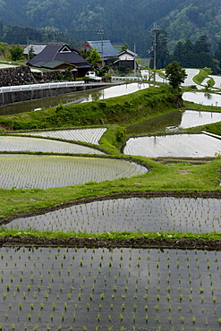 Flooded rice paddy terraces in early spring in mountain village of Hata, Takashima, Shiga, Japan, Asia