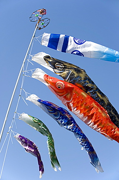 Koinobori, or carp streamers, are seen throughout Japan around Children's Day, May 5th, Japan.