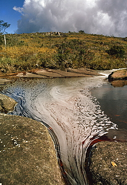 Auyantepui (Auyantepuy) (Devil's Mountain) summit, and Blackwater River, Canaima National Park, UNESCO World Heritage Site, Venezuela, South America