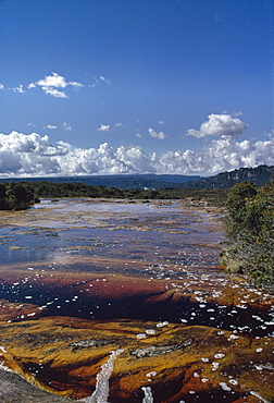 Auyantepui (Auyantepuy) (Devil's Mountain) summit, Blackwater River (Golden River), Canaima National Park, UNESCO World Heritage Site, Venezuela, South America