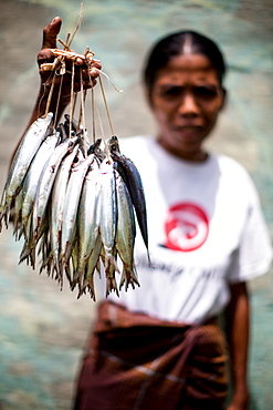 An old lady sells fish in Sumba, Indonesia, Southeast Asia, Asia