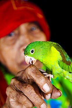 Kuna woman with pet parrot in the San Blas Islands, Panama, Central America